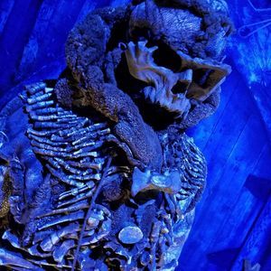 Meet your Posher, Demetria